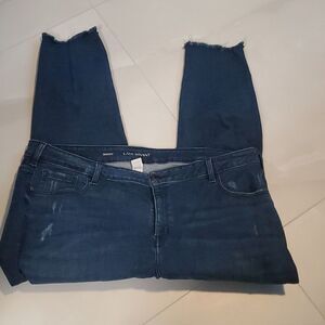 Lane Bryant Blue Skinny Jeans Size 24